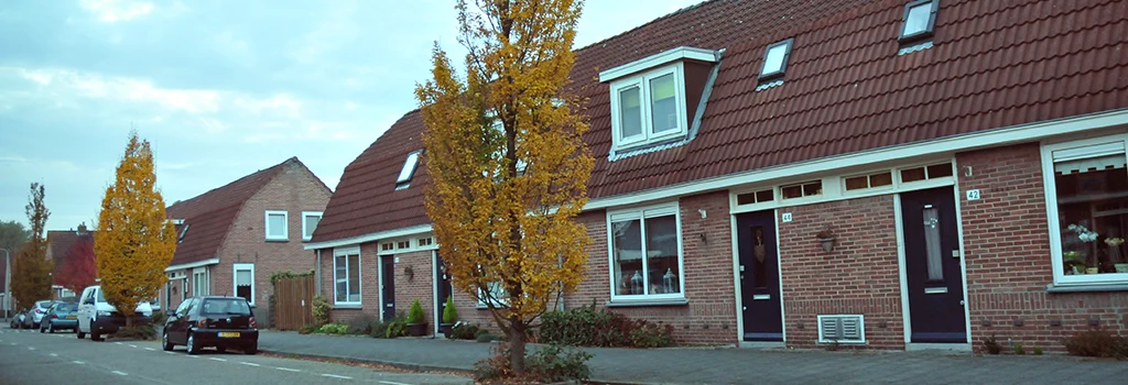 Woningen aan een straat in Slikkerveer
